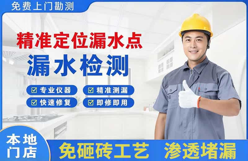 城中精准测漏点